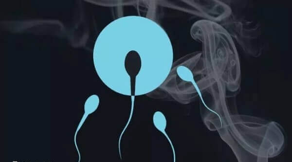 流式细胞仪能对精子细胞进行分析