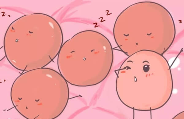 长方案适合正常卵巢女性