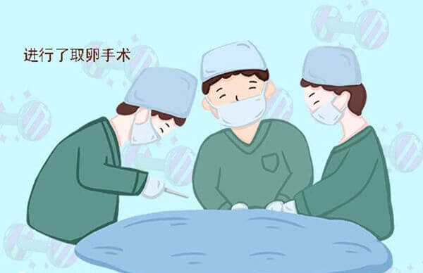 取卵手术后对女性有一定影响