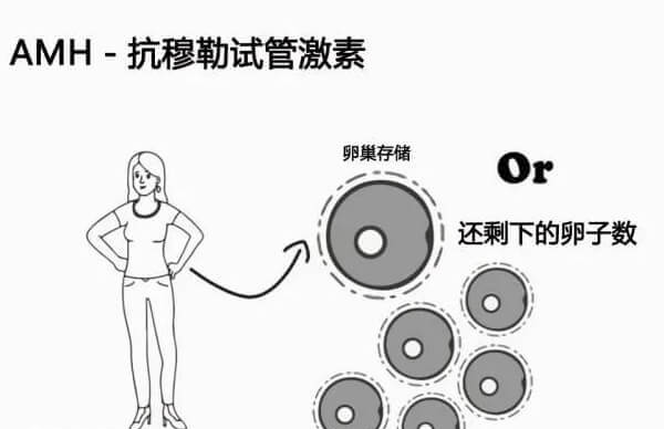AMH值正常的范围是2-6.8ng/ml