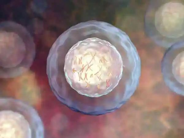 精子的存活率可以在三天以上