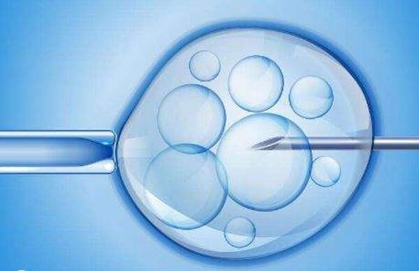 结婚女子冻卵在符合特定医学指征的情况下是合法的