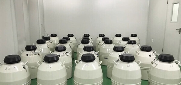 移植后注意休息