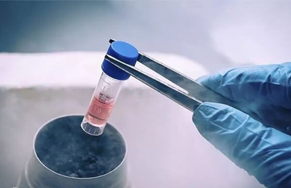 冷冻的精子是被保存在极低温度的液体内