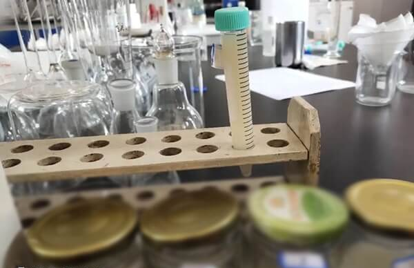 精子质量好解冻后活性降低的程度相对较小
