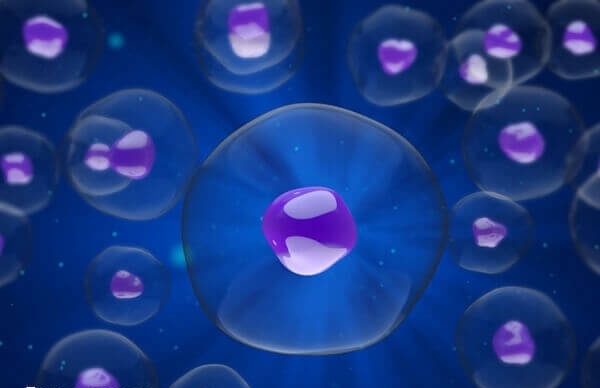 建议取卵后2周再同房