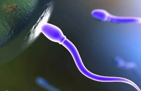 取卵后需要卧床休息