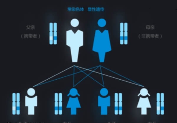 马凡综合征的患者拥有正常的生育能力