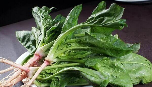 移植后适量食用菠菜有补血作用