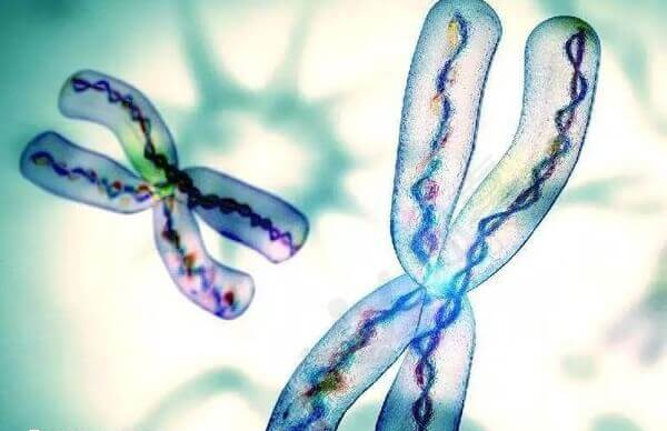 精子分离术需要三千元