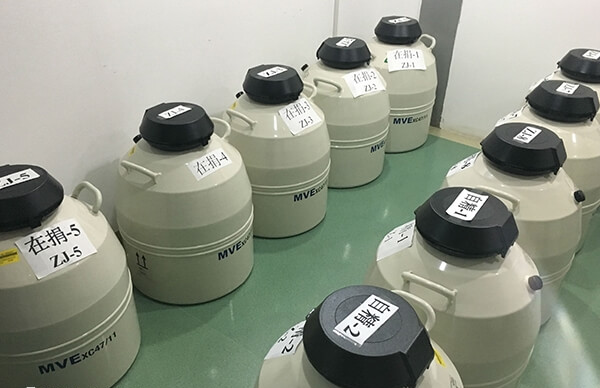 精子是带有遗传密码的生殖细胞