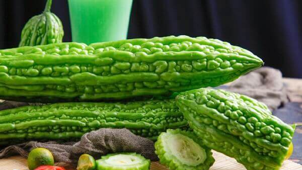 胚胎移植误食苦瓜后可多喝水缓解