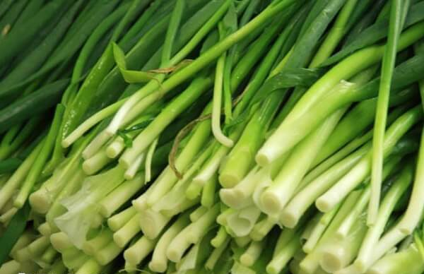 试管移植后不建议食用韭菜