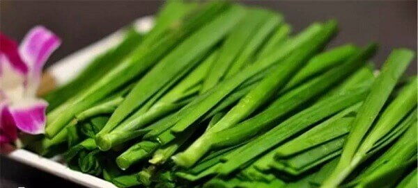 韭菜营养价值高但不建议鲜胚移植后食用