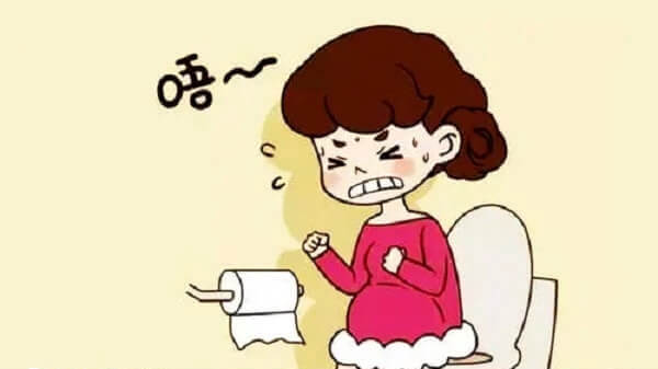 试管期间食用韭菜能缓解便秘