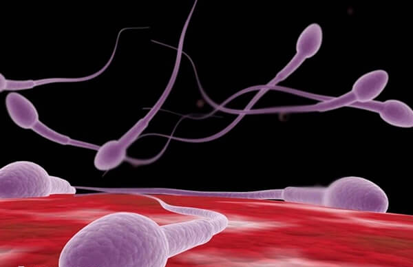 国内男性hiv不能做试管婴儿