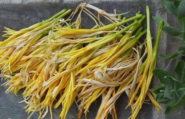 鲜胚移植后可以吃黄花菜