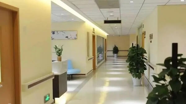 攀枝花市中心医院目前不可以做试管婴儿