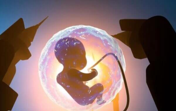 t卵p怀在国内不能做