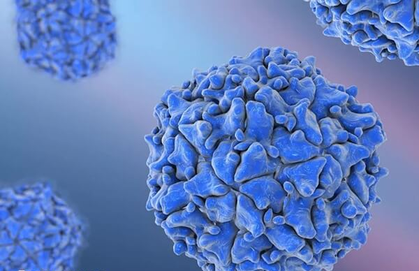 骨髓生育技术目前不存在