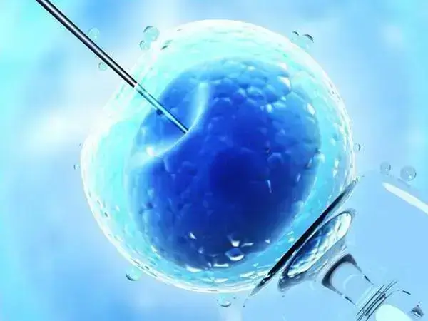 部队对军嫂做试管婴儿有免费政策