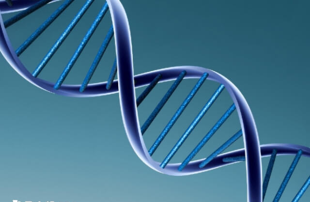 再婚夫妻没有共同生育过子女的家庭可做试管