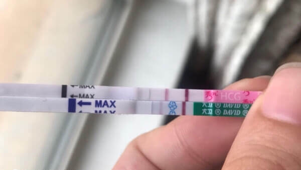金秀儿验孕试纸