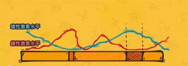抽血是为了监测女性患者体内的激素水平