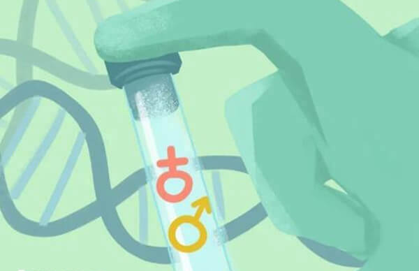 试管生男生女几率一样