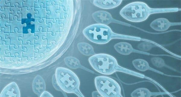 移植4bc囊胚能成功生下宝宝