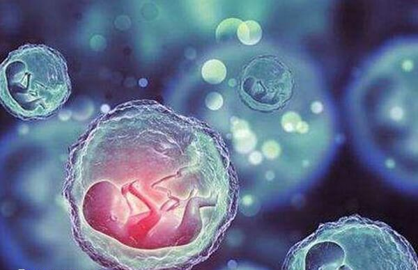 HIV感染做试管主要通过洗精术+试管技术