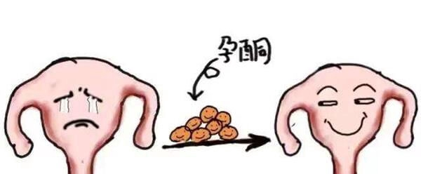 囊胚移植后要补充孕酮