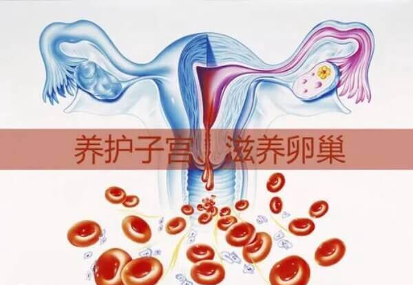 移植前吃乐宫宝能保护子宫