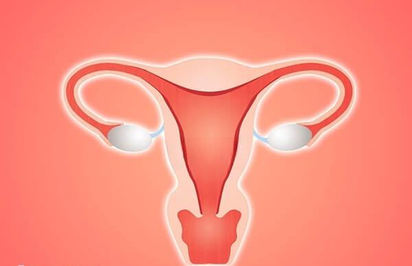 人工周期内膜转化时间是因人而异的