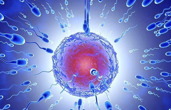 试管婴儿一代转二代成功率并不能一概而论