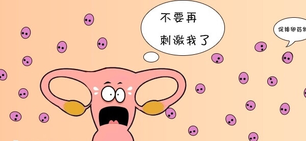 取卵后腹水是多卵泡发育造成的