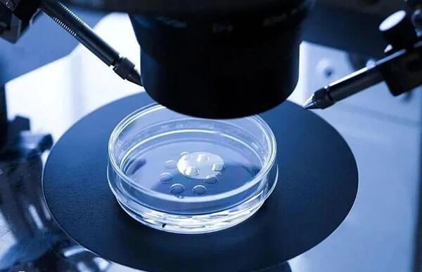 子宫环境差不能移植多个胚胎