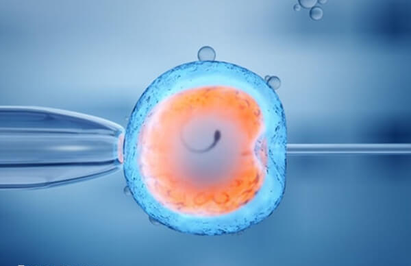 重庆三代试管成功率约50%-60%