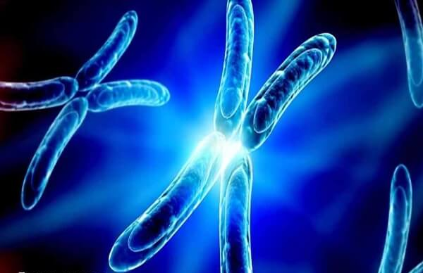 试管婴儿生男生女的概率与自然受孕相似