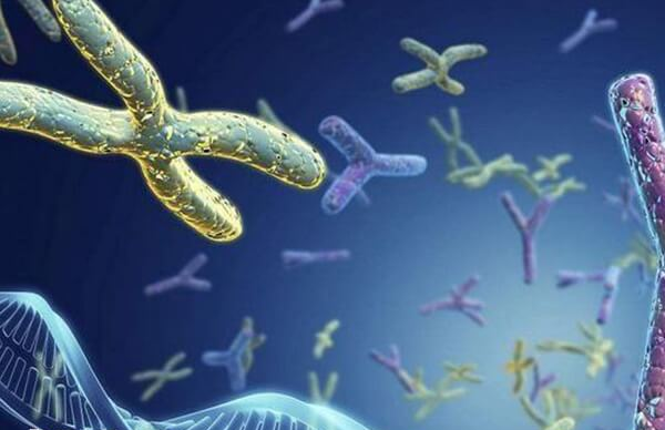 广医三院能三代试管