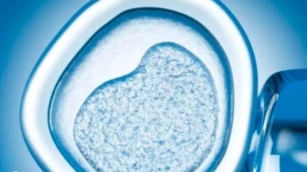 随着年龄的增长生育能力将逐渐下降