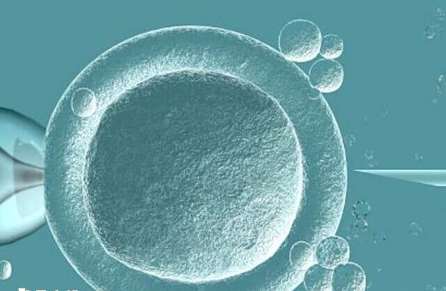 第二次移植建档后并不意味着能进行移植