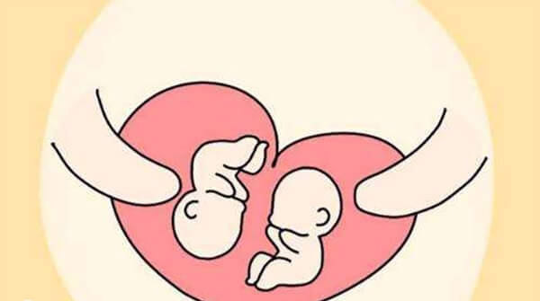 单绒双胞胎和双绒双胞胎差异大