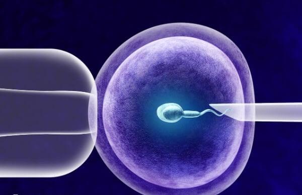 上海九院试管婴儿流程并不复杂