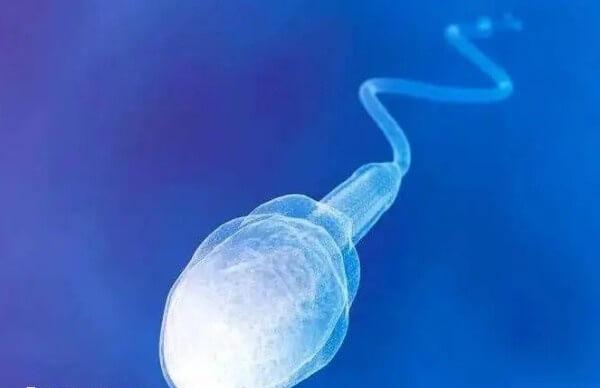 取卵当天通常需要取精