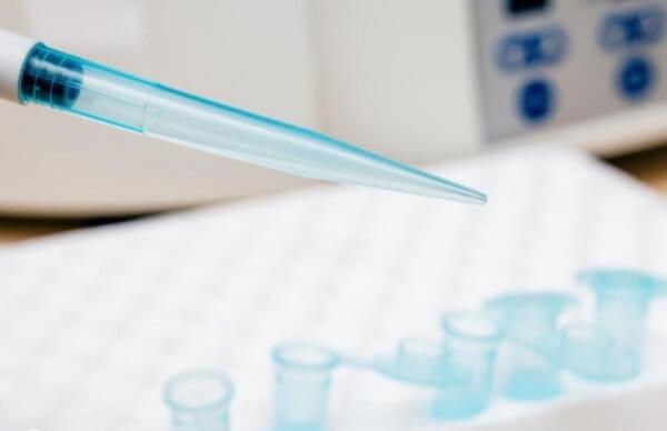 O型腿的成因较为复杂