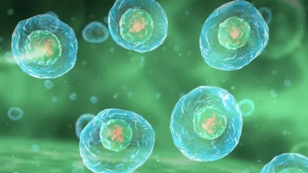 高龄女性试管成功率比年青时低