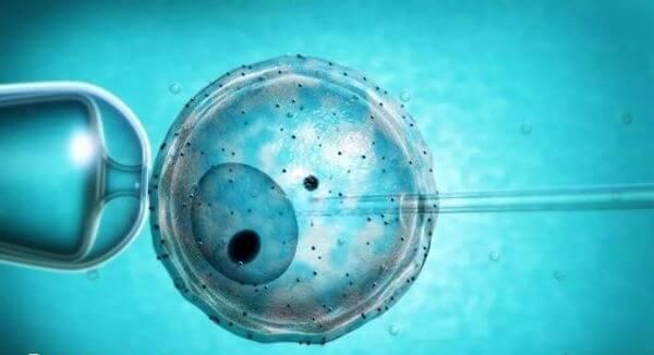 试管婴儿成功率因人而异