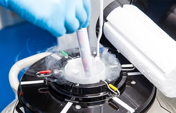 高龄做试管婴儿成功率较低