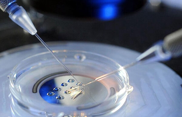 俄罗斯NGC有独立胚胎实验室